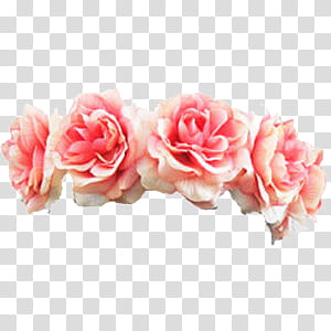 Flower Crowns, pink rose flower headband transparent background PNG clipart