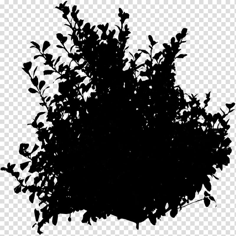 Leaf Logo, Hedge, Twig, Garden, Shrub, Buxus Sempervirens, Pruning, Tree transparent background PNG clipart