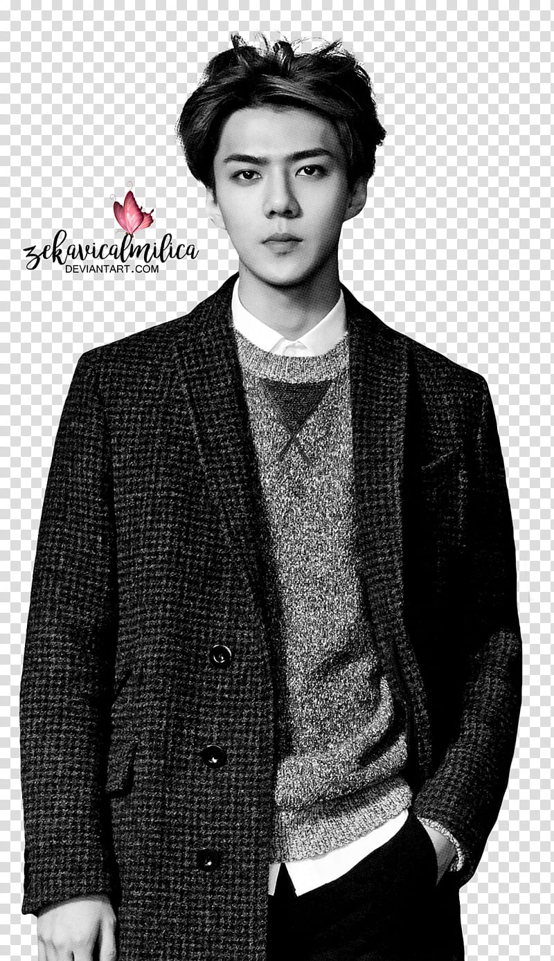 EXO Sehun  Season Greetings transparent background PNG clipart