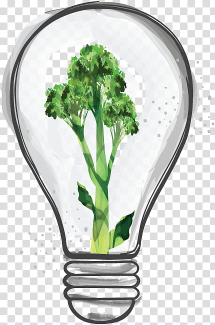 Light Bulb, Broccolini, Greens, Vegetable, Pickling, Herb, Garlic, Leaf transparent background PNG clipart