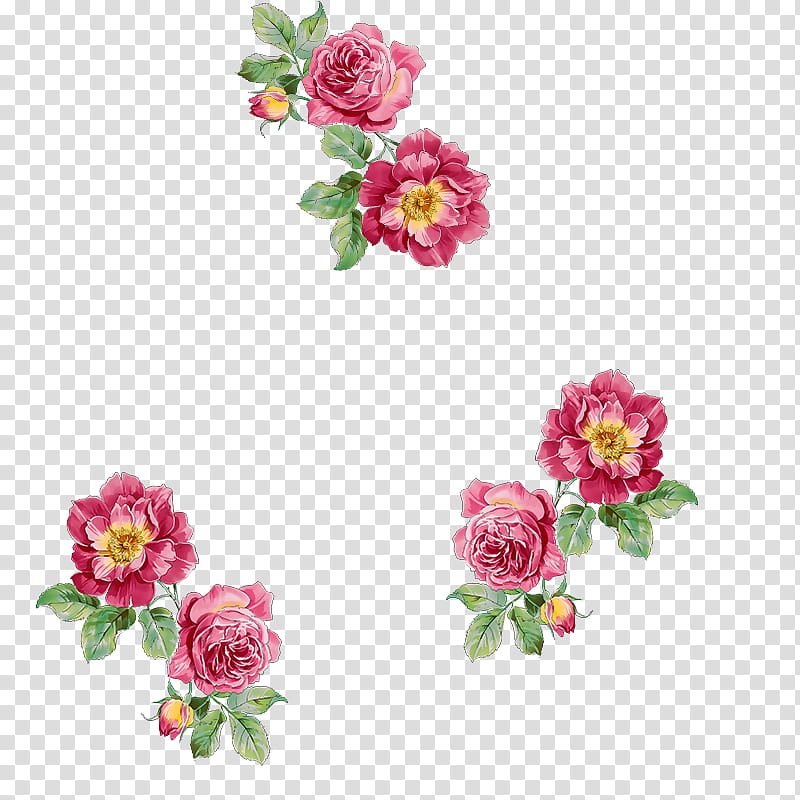 Flowers, Price, Goods, Trade Catalogue, Painting, Diens, Embroidery, Gratis transparent background PNG clipart