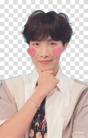 BTS LY ANSWER CARDS F VER transparent background PNG clipart thumbnail