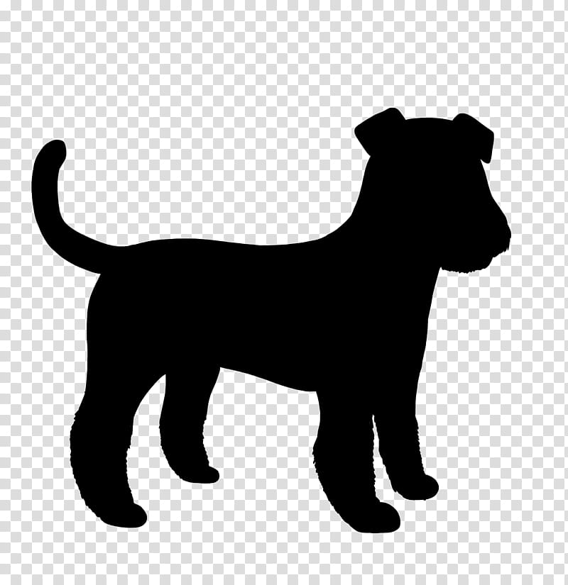 Border, Bernese Mountain Dog, Puppy, Great Dane, Bolognese Dog, Miniature Pinscher, Labrador Retriever, Obedience Training transparent background PNG clipart