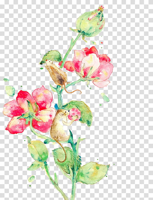 Shirley Yuwngqw transparent background PNG clipart