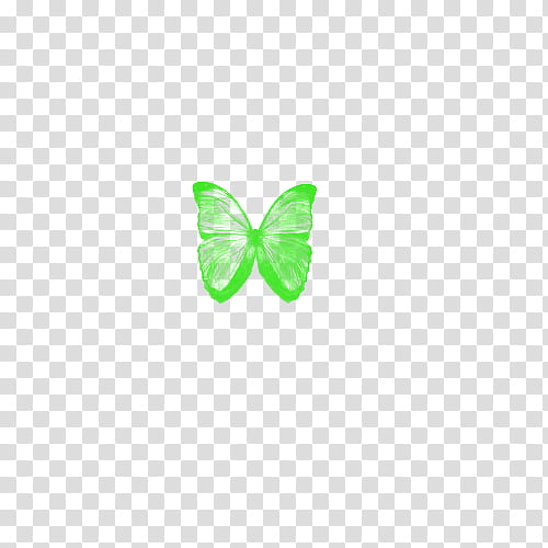 VARIADOS , green butterfly illustration transparent background PNG clipart