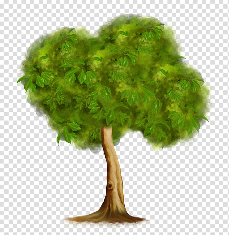 Tree Trunk Drawing, Cat, Cat Tree, Mangrove Tree, Tenor, Plants, Green, Leaf transparent background PNG clipart