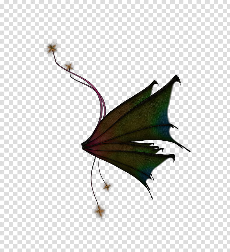 Wings Green Dragonfly Fairy, green butterfly decor transparent background PNG clipart