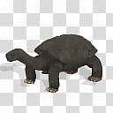 Spore creature Chatham Island tortoise, black turtle illustration transparent background PNG clipart