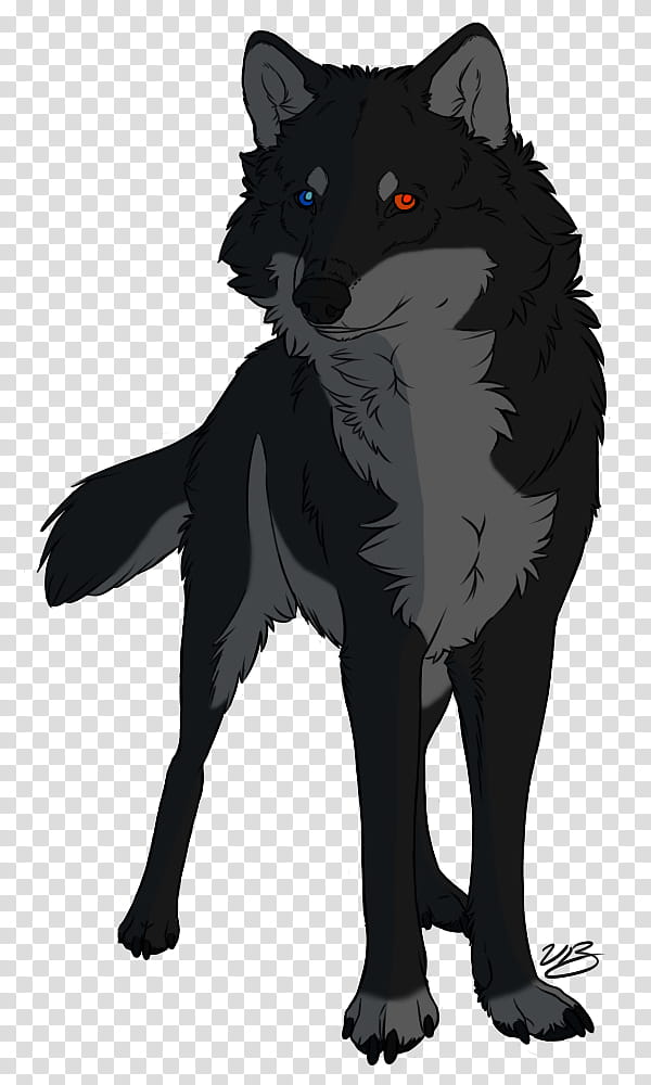 Wolf, Whiskers, Fur, Snout, Werewolf, Fox News, Black M, Tail transparent background PNG clipart