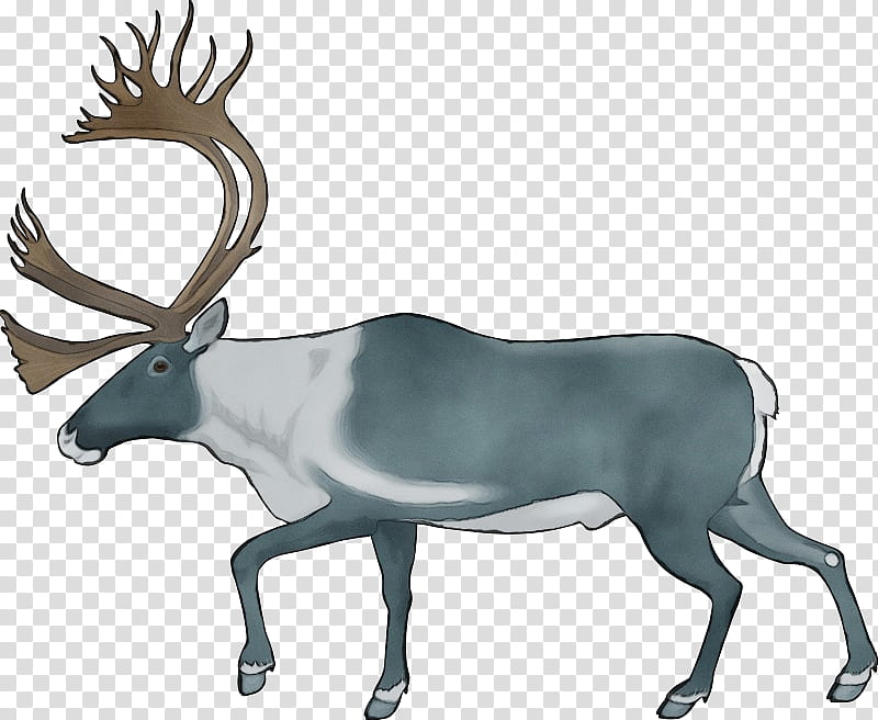 Reindeer, Watercolor, Paint, Wet Ink, Elk, Antelope, Antler, Wildlife transparent background PNG clipart