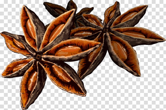Star, Star Anise, Spice, Herb, Food, Clove, Ingredient, Cinnamon transparent background PNG clipart