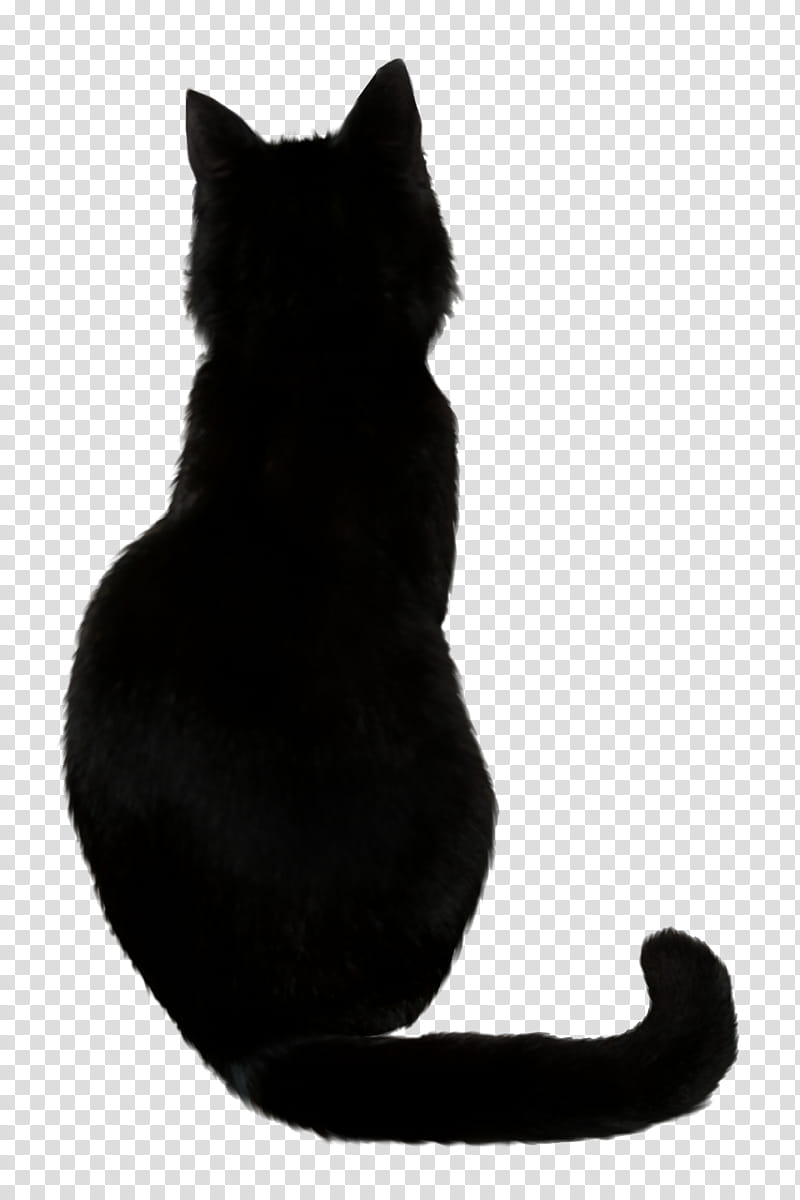Black Cat I, black cat illustration transparent background PNG clipart