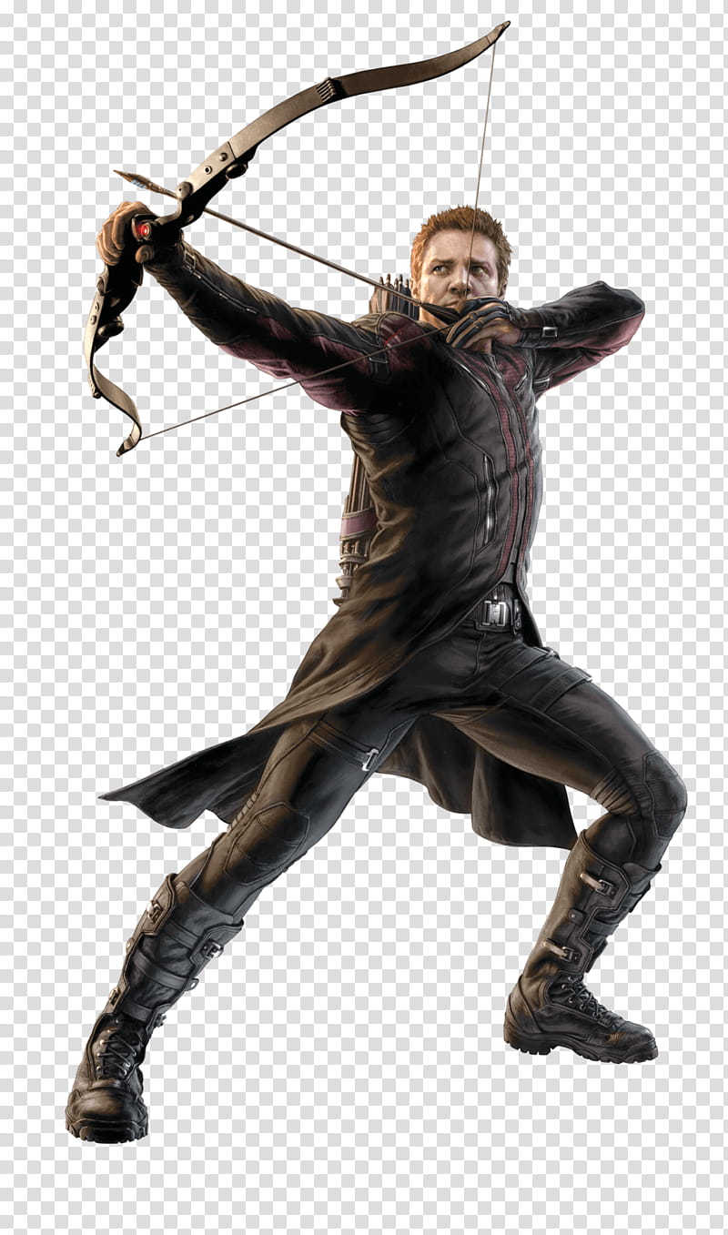 Hawkeye To Left transparent background PNG clipart