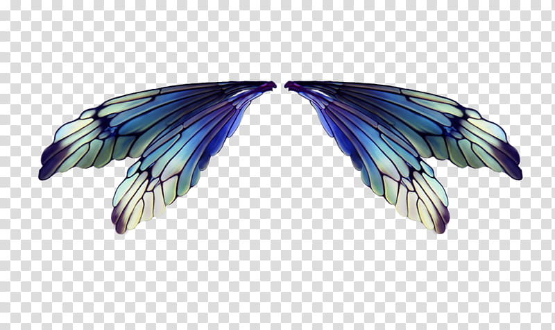 Fairies Wings, blue buitterfle transparent background PNG clipart