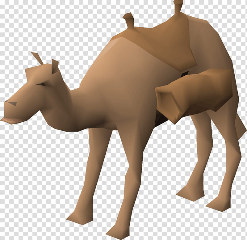 Dromedary Camel, Horse, Deer, Neck, Animal Figure, Camelid, Arabian Camel, Fawn transparent background PNG clipart