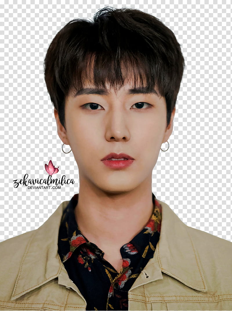 DAY Every DAY November, male Korean star in brown collared top transparent background PNG clipart