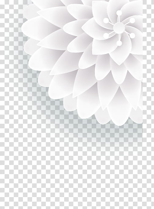 Black And White Flower, Black White M, Petal, Bhagwan Shri Hanumanji, Columnist, Ci, Wall, Motivational Speaker transparent background PNG clipart