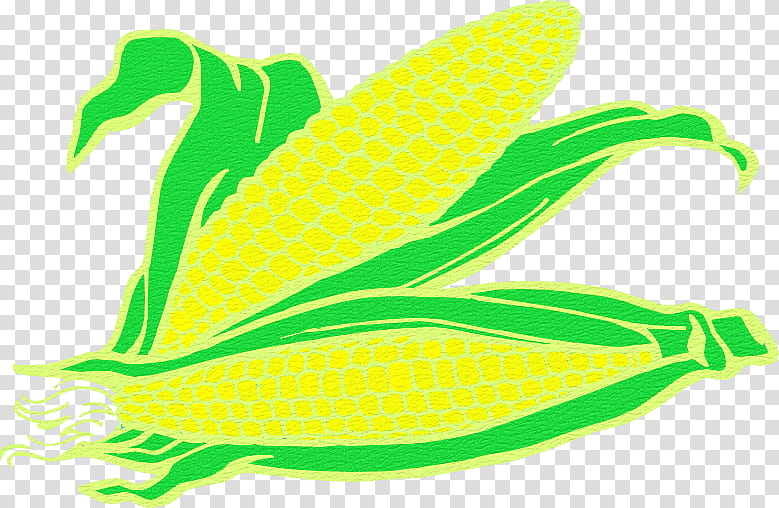 Green Leaf, Seasonal , Corn, Corn On The Cob, Drawing, Field Corn, Corncob, Yellow transparent background PNG clipart