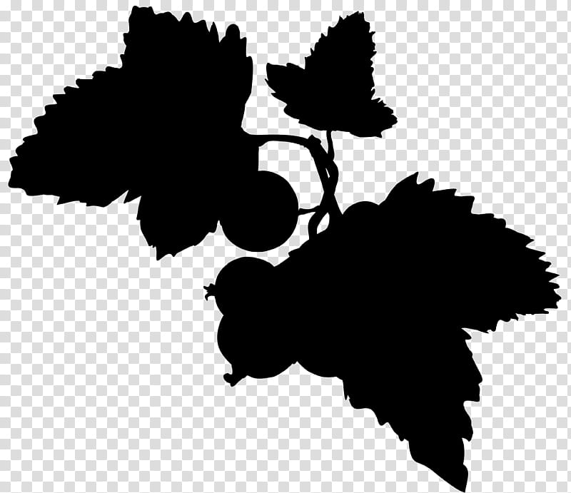 Black And White Flower, Grape, Black White M, Silhouette, Leaf, Branching, Black M, Grape Leaves transparent background PNG clipart