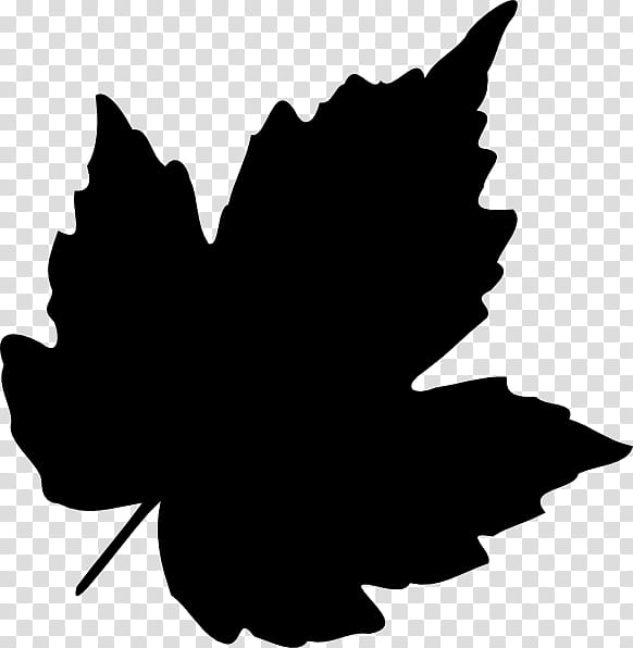 Woody Silhouette, Leaf, Black, Tree, Blackandwhite, Maple Leaf, Woody Plant, Plane transparent background PNG clipart