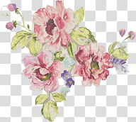 Adornos transparent background PNG clipart