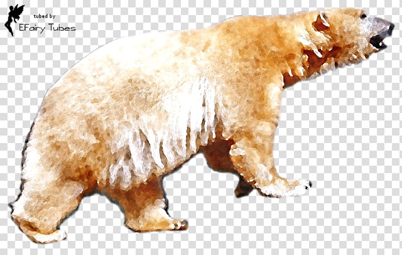 Polar Bear, Grizzly Bear, Watercolor Painting, Drawing, , Animal, Oekaki, Blog transparent background PNG clipart