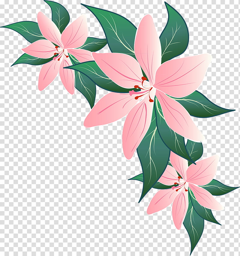 Lily Flower, Petal, Floral Design, Cut Flowers, Motif, Home Page, Plants, Leaf transparent background PNG clipart