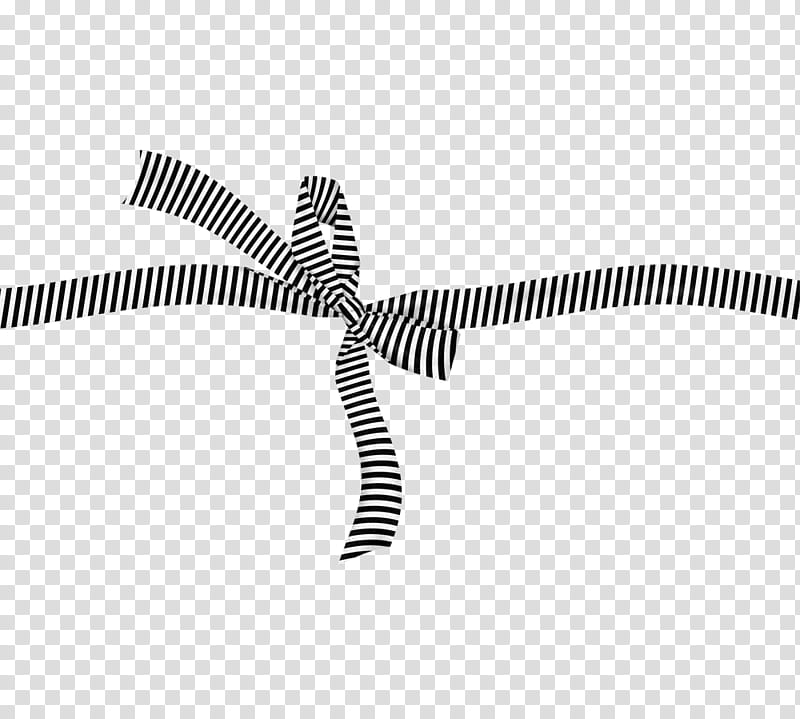 Black And White Striped Bow Transparent Background Png Clipart