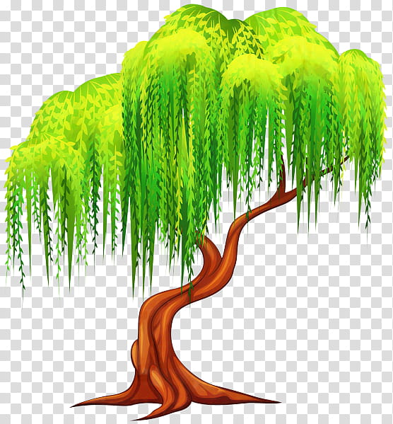 Cartoon Nature, Tree, Weeping Willow, Plants, White Willow, Cartoon, Wall Decal, Kitchen transparent background PNG clipart
