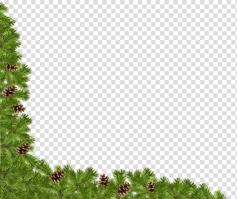 Christmas corners, green pine trees art transparent background PNG clipart