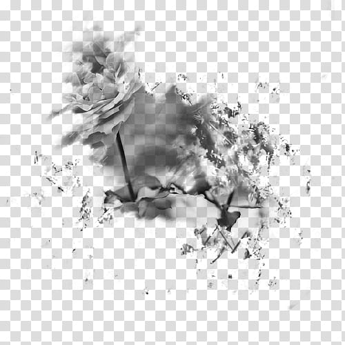 Flowers Brushes, grayscale graphy of flower transparent background PNG clipart