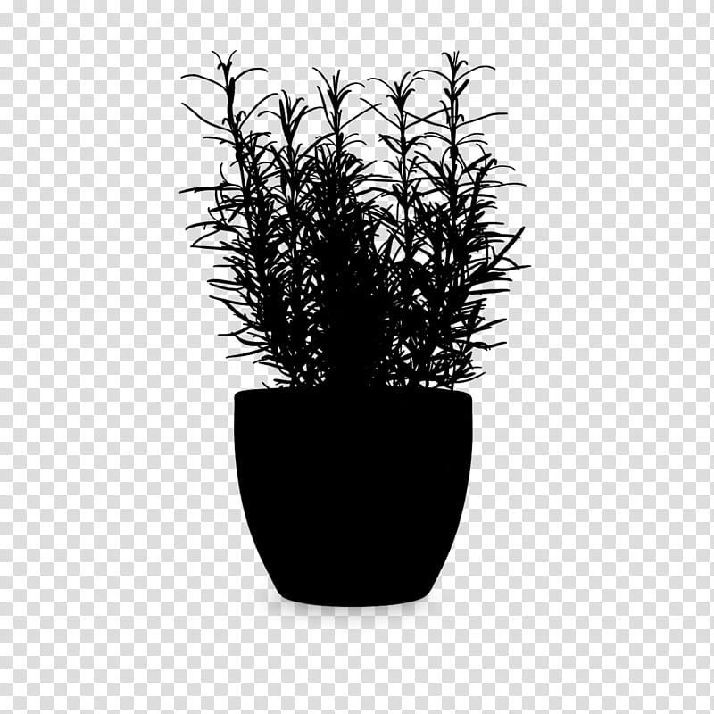 Black And White Flower, Black White M, Flowerpot, Houseplant, Grass, Vase, Tree, Yucca transparent background PNG clipart