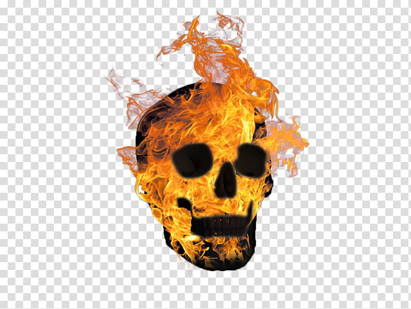 Human Skull Drawing, Fire, Flame, Calavera, Skeleton, Orange, Bone transparent background PNG clipart