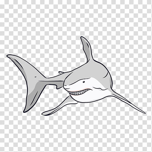 Great White Shark, Drawing, Cartoon, Animation, Fish, Lamniformes, Cartilaginous Fish, Lamnidae transparent background PNG clipart