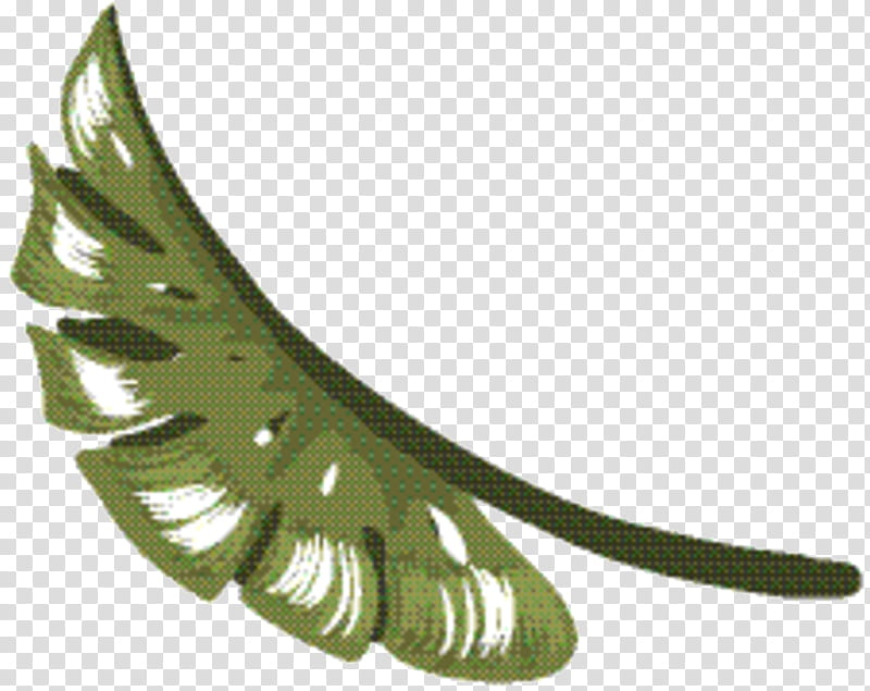 Plant Leaf, Feather, Wing, Dandelion, Fashion Accessory, Tail transparent background PNG clipart