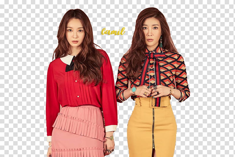 Davichi transparent background PNG clipart