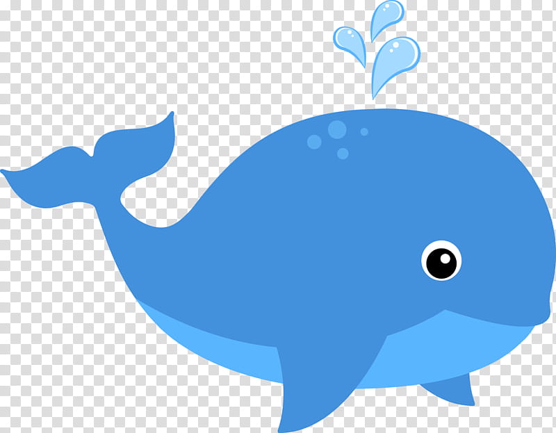 Whale, Dolphin, Porpoise, Whales, Cetaceans, Biology, Computer, Beak transparent background PNG clipart