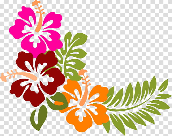 Drawing Of Family, Hibiscus, Yellow Hibiscus, Hawaiian Hibiscus, Rose Of Sharon, Plant, Flora, Petal, Floristry, Mallow Family transparent background PNG clipart