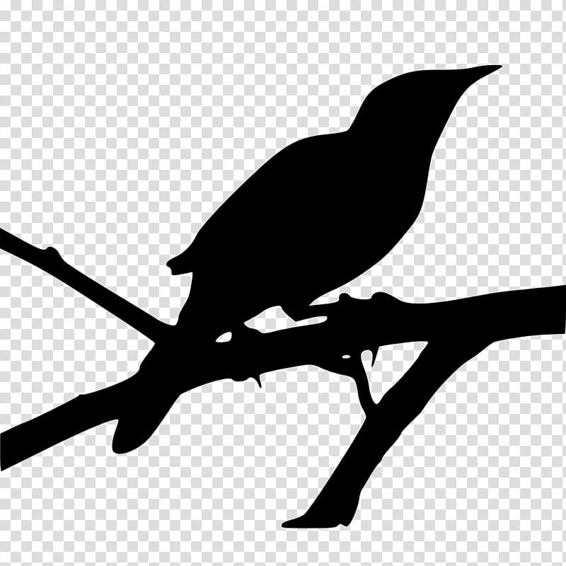 Mockingbird Silhouette, Beak, Branch, Twig, Wing, Perching Bird, Coraciiformes, New Caledonian Crow transparent background PNG clipart