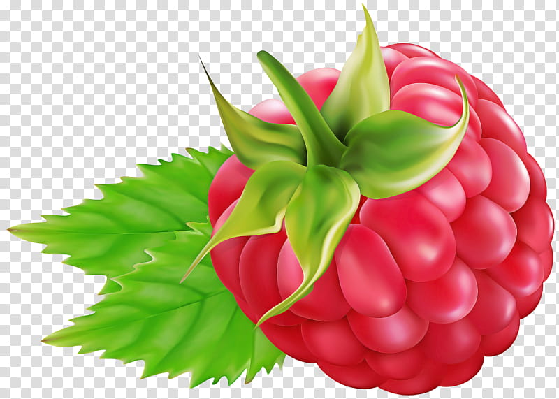 Green Leaf, Blackberry, Raspberry, Fruit, Berries, Drawing, Tayberry, Food transparent background PNG clipart