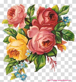 Vintage Flowers, multicolored flowers transparent background PNG clipart thumbnail