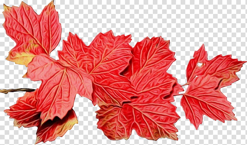 Autumn Leaves, Blog, Season, Leaf, TinyPic, Red, Flower, Tree transparent background PNG clipart
