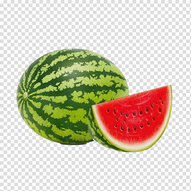 Watermelon, Watercolor, Paint, Wet Ink, Fruit, Food, Plant, Citrullus transparent background PNG clipart