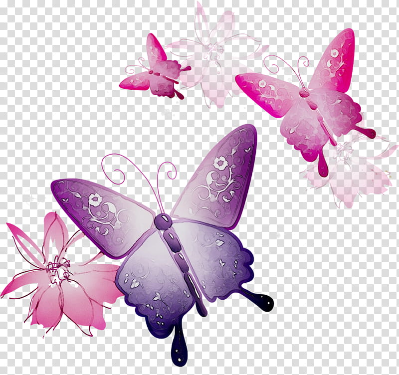 Butterfly, Insect, Glasswing Butterfly, Brushfooted Butterflies, Cabbage White, Monarch Butterfly, Lepidoptera, Pink transparent background PNG clipart