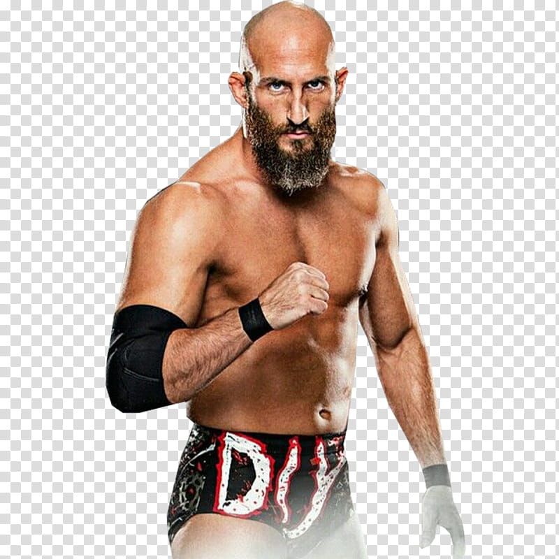 tommaso ciampa transparent background PNG clipart