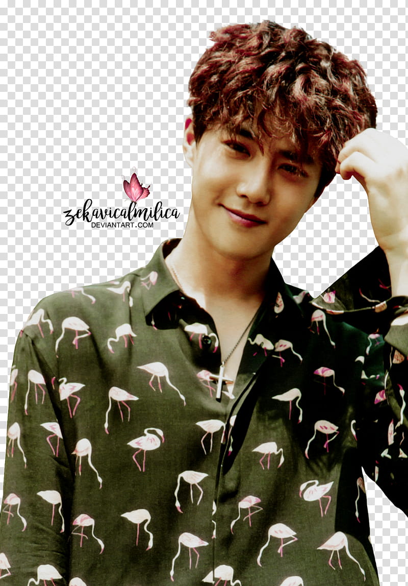 EXO Suho The War, Exo Suho transparent background PNG clipart