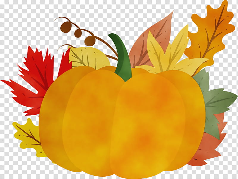 Watercolor Flower, Paint, Wet Ink, Pumpkin, Calabaza, Winter Squash, Yellow, Leaf transparent background PNG clipart