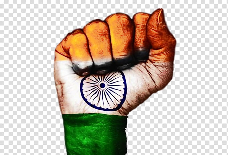 India Independence Day Republic Day, India Flag, India Republic Day, Patriotic, Mumbai, Online Shopping, Advertising, Book transparent background PNG clipart