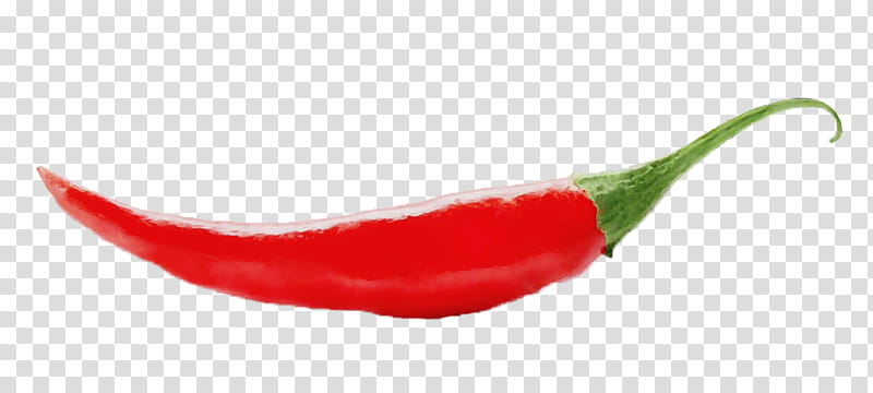 chili pepper malagueta pepper tabasco pepper serrano pepper peperoncini, Watercolor, Paint, Wet Ink, Vegetable, Birds Eye Chili, Bell Peppers And Chili Peppers, Red transparent background PNG clipart