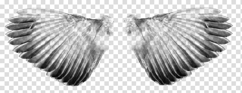 Wings Stamps, white and black angel wings transparent background PNG clipart